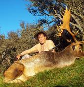 Free range Fallow Buck, were right in the heart of the main New Zealand herds