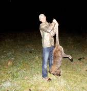 Wallaby hunting- great for the whole family