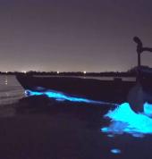 Social Nature Movement Westgate (0614) Walking Trials & Tracks 2_small