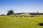 Green Fees Waverley (4510) Golf Clubs