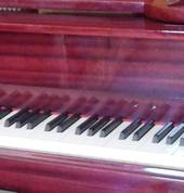 Lydia McDonnell Music Studio Feilding (4702) Piano Teachers 1_small