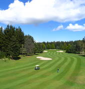 14th on Centennial, dogleg left with conrer bunker