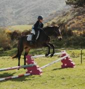 Littleriver Equestrian Wellington (6021) Horse Riding Schools 1_small