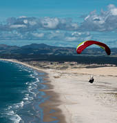 soaring on the beautiful NZ Coast