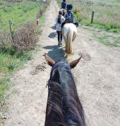 Crystal Willow Pony Adventures Huntly (3700) Pony riding Venues 3_small