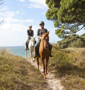 Ride through beautiful native forest