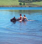 Swim with the horses on our longer rides