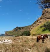 Waiting for lunch at the rocks