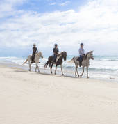 Ride along gorgeous white sand beaches