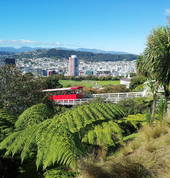 Kelburn Lookout