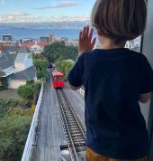 Wellington Cable Car Wellington Central (6011) Attractions 1_small