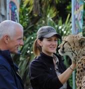 Behind-the-scenes Cheetah Experience