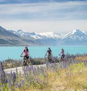 Alps 2 Ocean Cycle Trail Oamaru (9400) Bike Trails 3_small