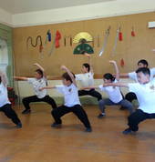 Master Song Shaolin Kung Fu Wushu - Holistic Martial Arts