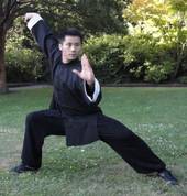 Master Song Shaolin Kung Fu Wushu - Holistic Martial Arts