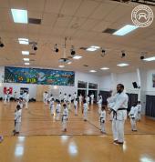 Lion Budokan Karate International Blockhouse Bay (0600) Karate Classes & Lessons 1_small