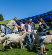 Interactive Farm Tour