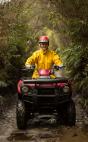 1 Hour Enchanted Forest Track Tour Deal Greymouth City (7805) Quad Bike