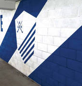 Blue and White Passion