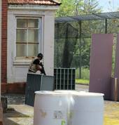 Auckland Paintball Club