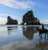 Cape Farewell Horse Treks 1_small