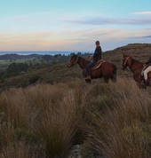 Cape Farewell Horse Treks 3_small