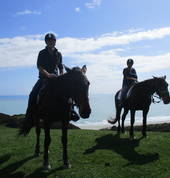 Cape Farewell Horse Treks 4_small
