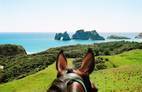 Cape Farewell Horse Treks