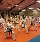 Taekwon-Do class